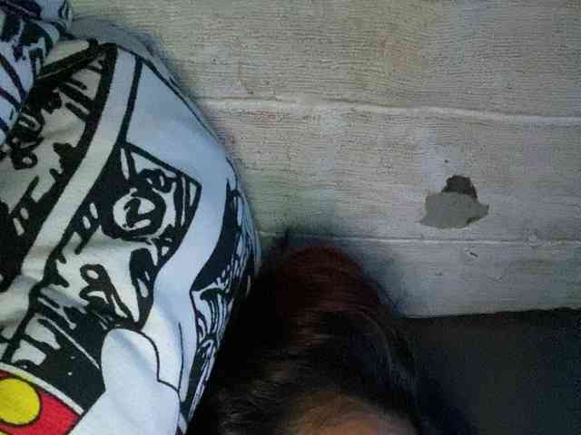 Rainie webcam