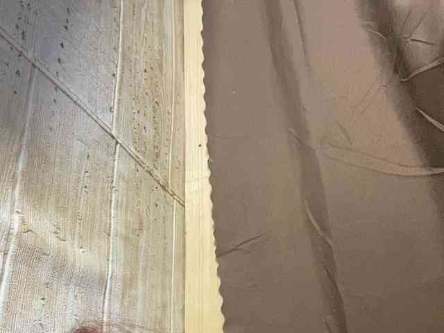 Rainie webcam