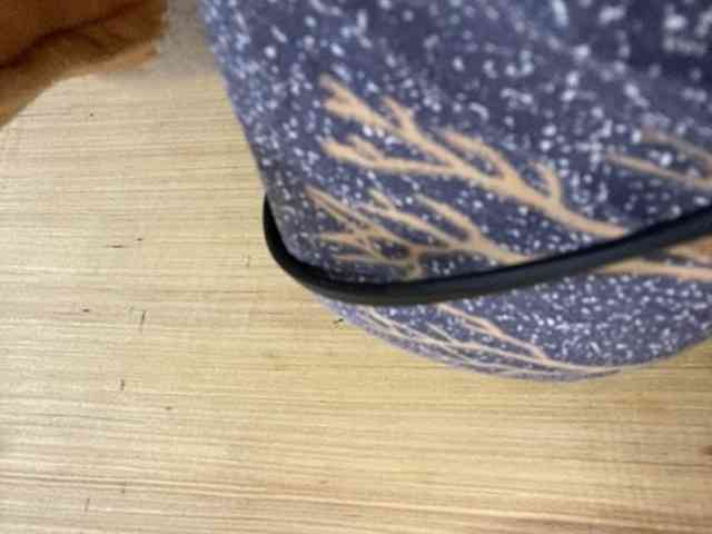 Rainie webcam