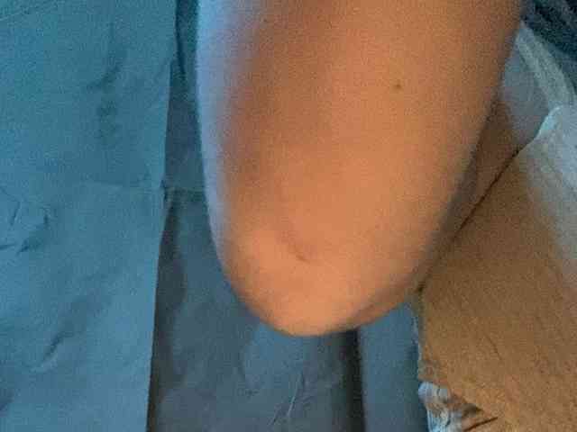 Rainie webcam