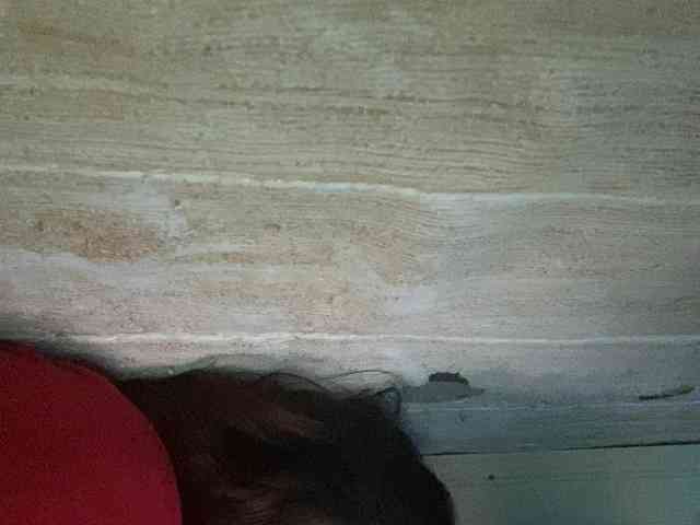 Rainie webcam