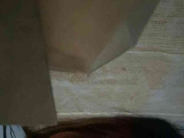 Rainie webcam