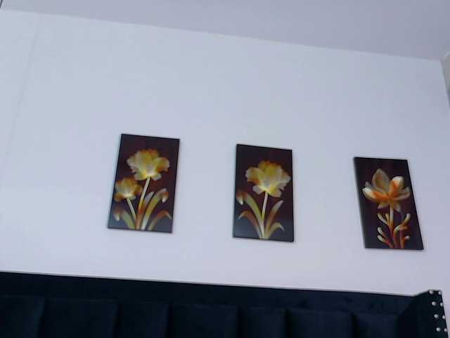 Preview of skinnyprinces