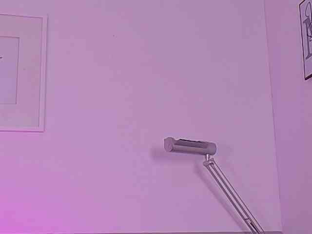 skinnyprinces webcam