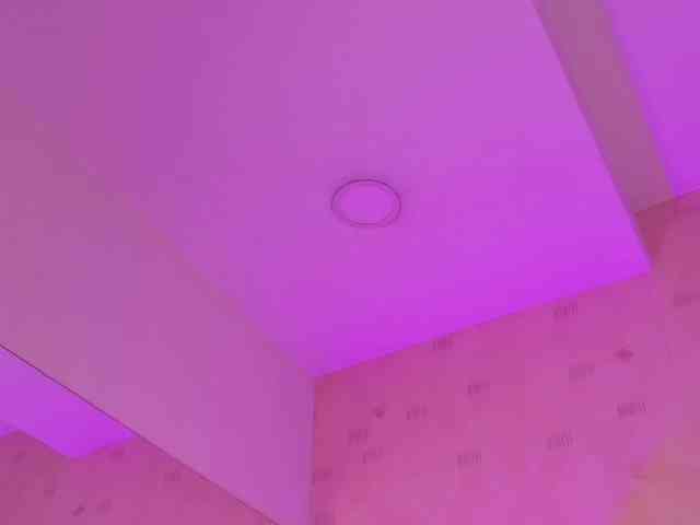 littleeemiily webcam