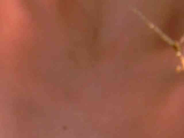 littleeemiily webcam