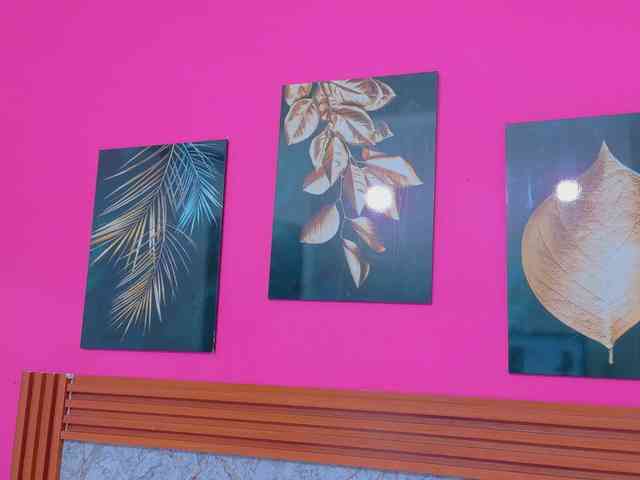 littleeemiily webcam