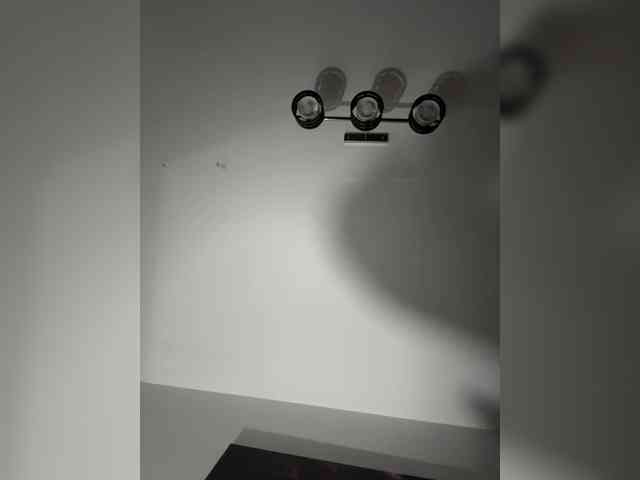 ReveMignoneX webcam