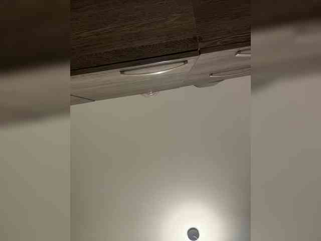 revemignonex's live room