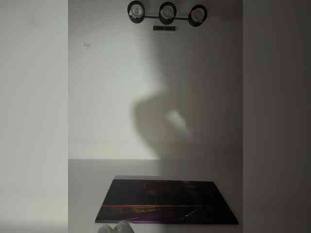 ReveMignoneX webcam