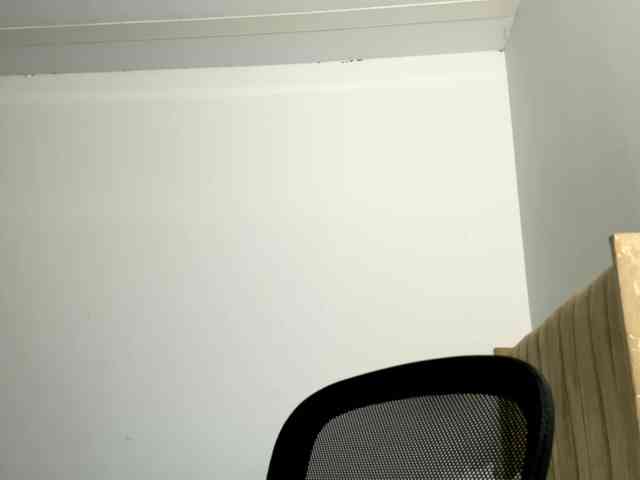 Sara_muscle webcam