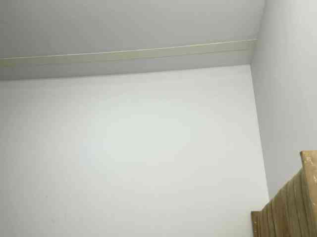 Sara_muscle webcam