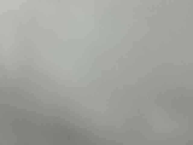 Sara_muscle webcam