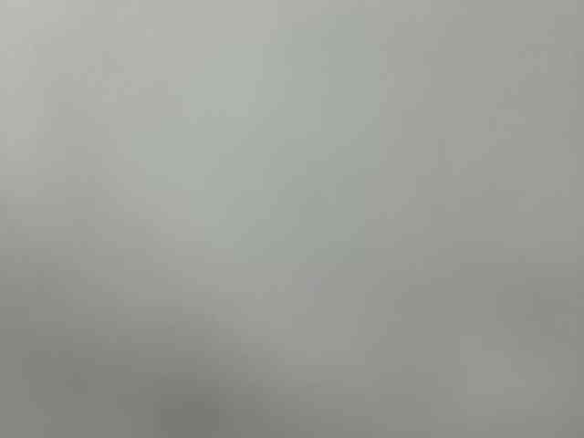 Sara_muscle webcam