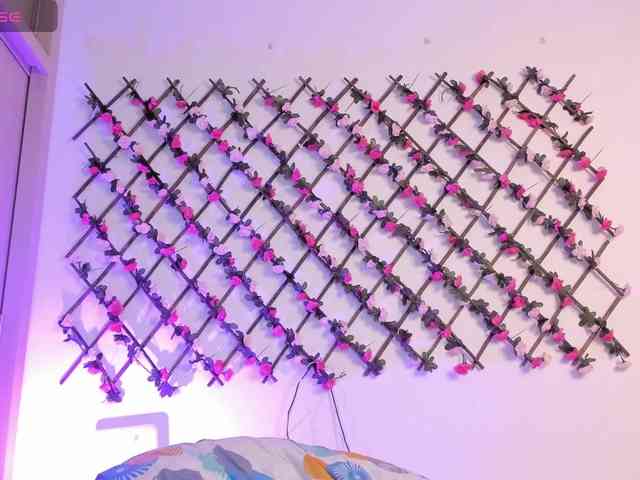 naughtyebonyy webcam