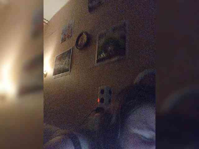 Rebornika webcam