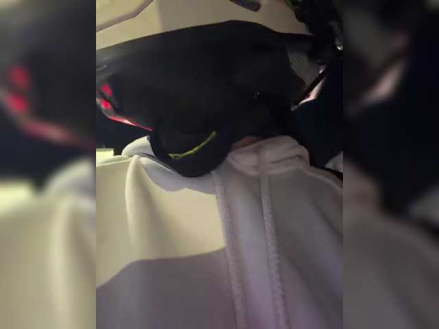 Aisha-engel live cam on BongaCams