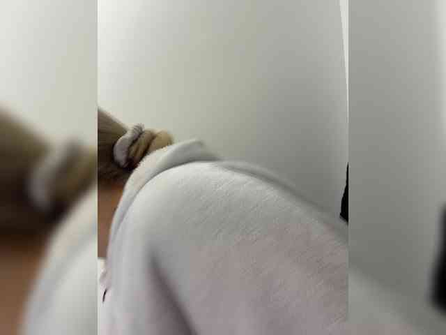 Aisha-engel webcam