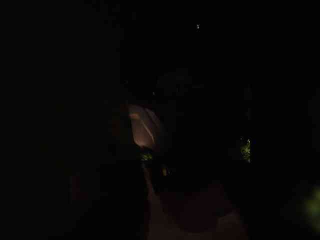 Aisha-engel webcam