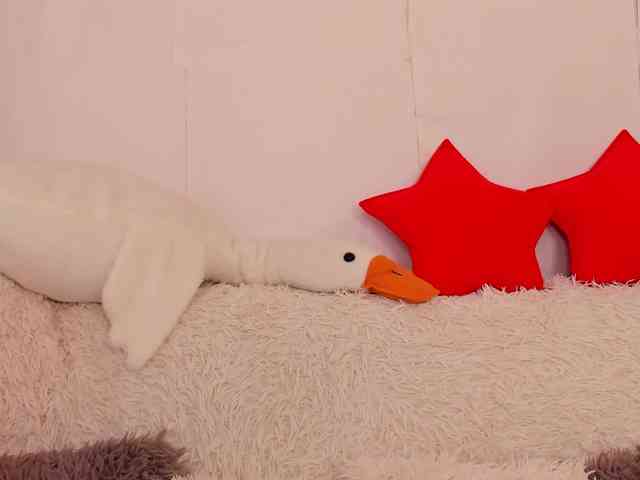 Liissa webcam