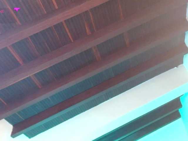 zafiro56 live cam on BongaCams