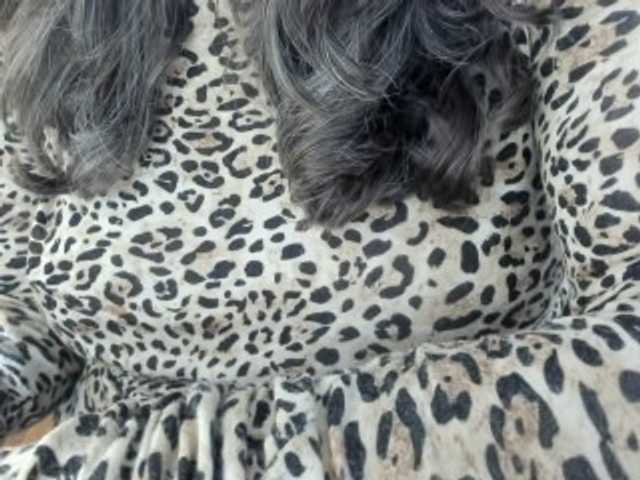 sensugirl live cam on BongaCams