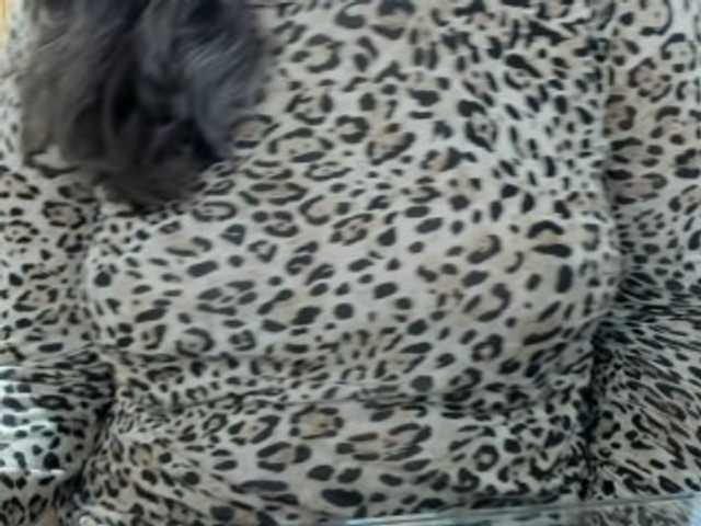 sensugirl