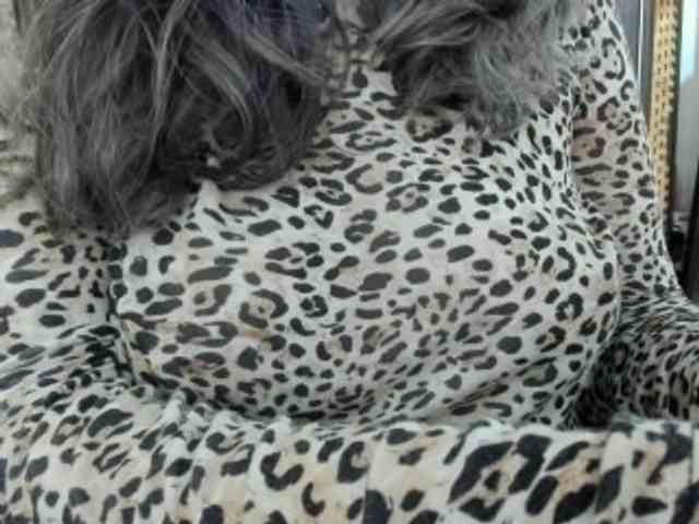sensugirl