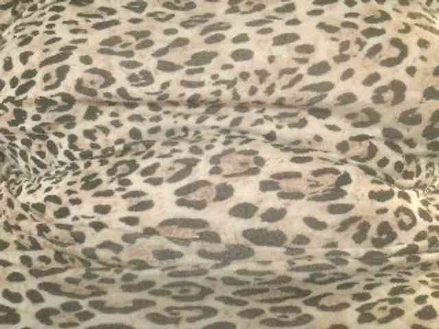 sensugirl webcam