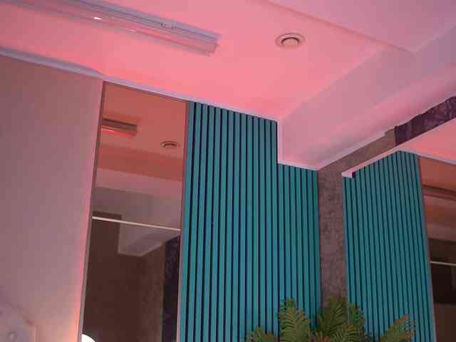 EvaZane webcam