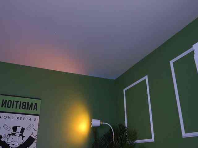 EvaZane webcam