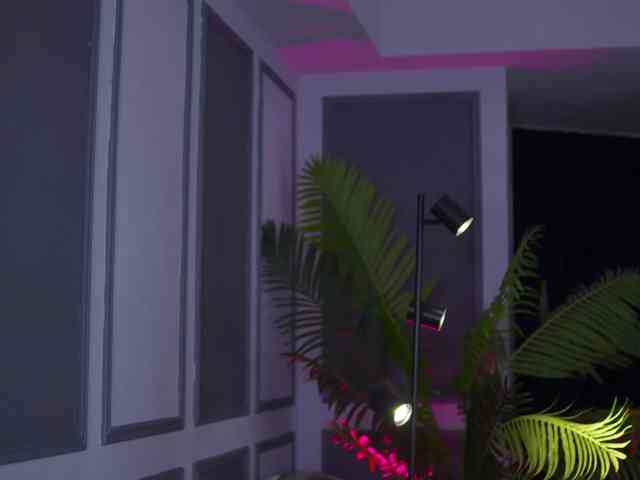 EvaZane webcam