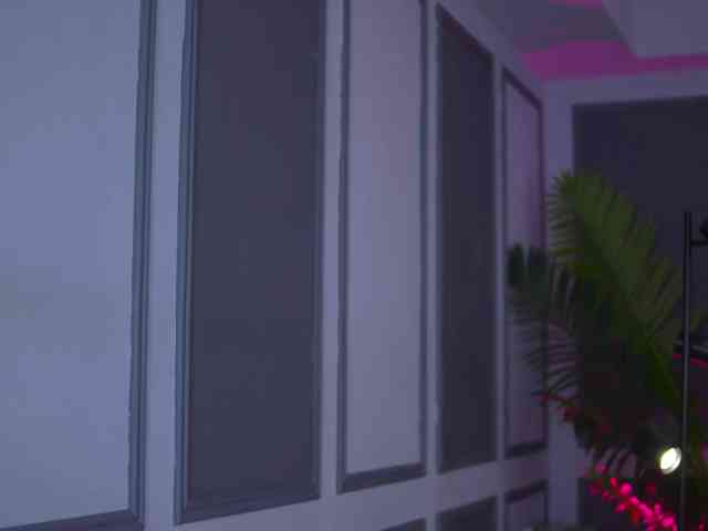 EvaZane webcam
