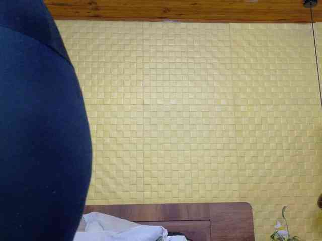 curvynaomhy webcam