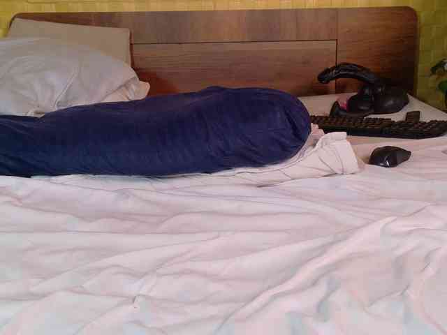 curvynaomhy webcam