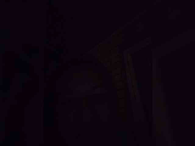 Mia-Carnival webcam