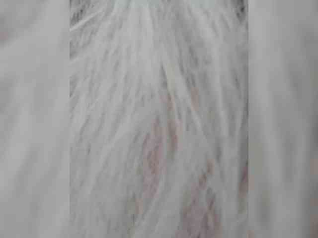 mery8poppins webcam