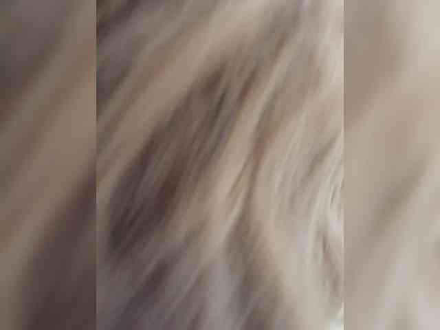 mery8poppins webcam