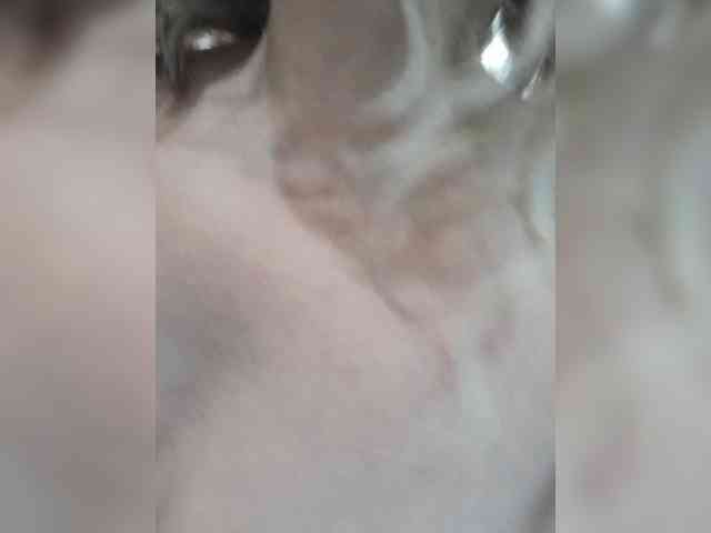 mery8poppins