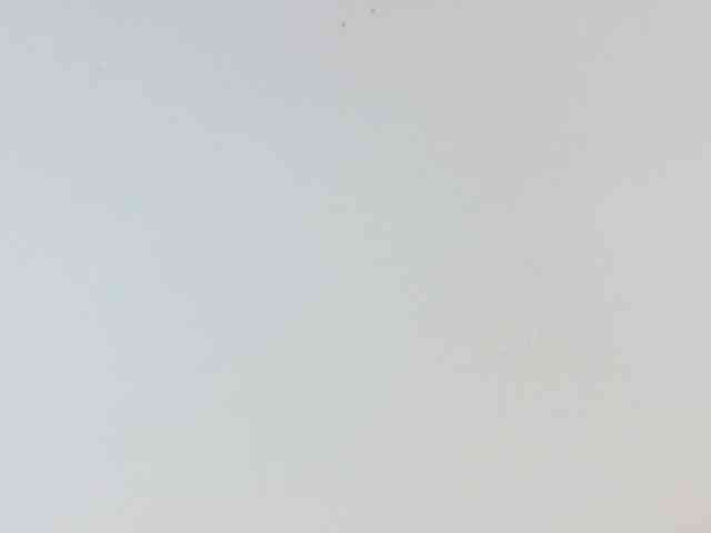 shamira-moore shamira-moore