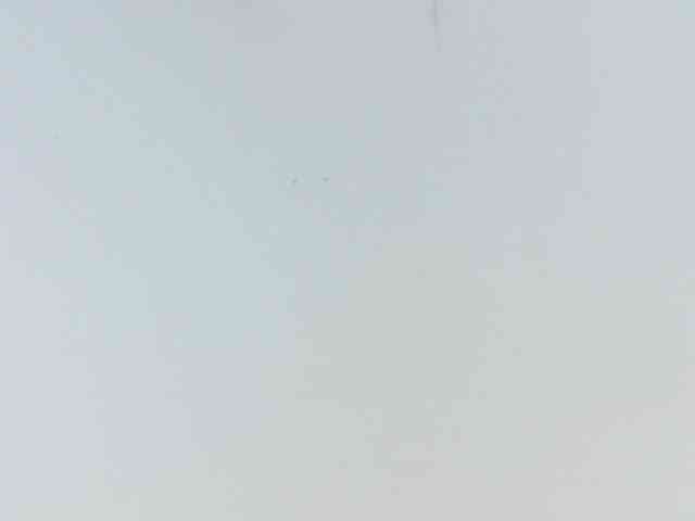 shamira-moore webcam