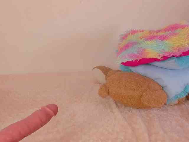 cat_p webcam