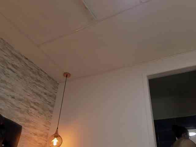 exotical-baby webcam