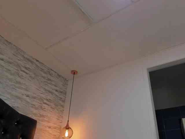 exotical-baby webcam