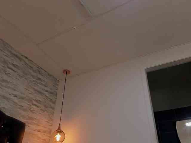 exotical-baby webcam