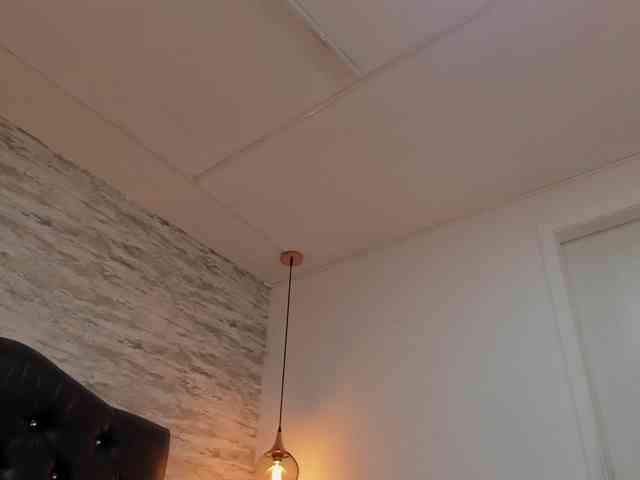 exotical-baby webcam