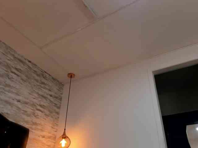 exotical-baby webcam