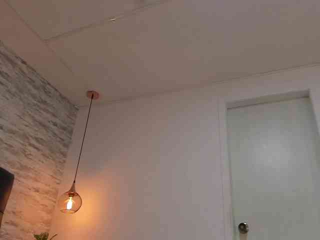 exotical-baby webcam