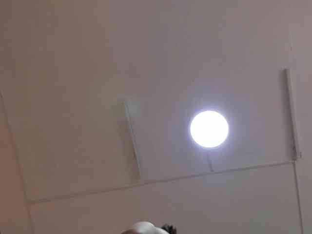 exotical-baby webcam