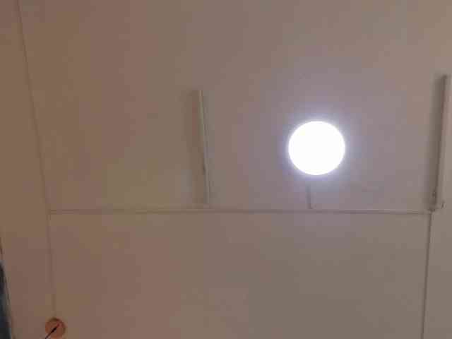 exotical-baby webcam